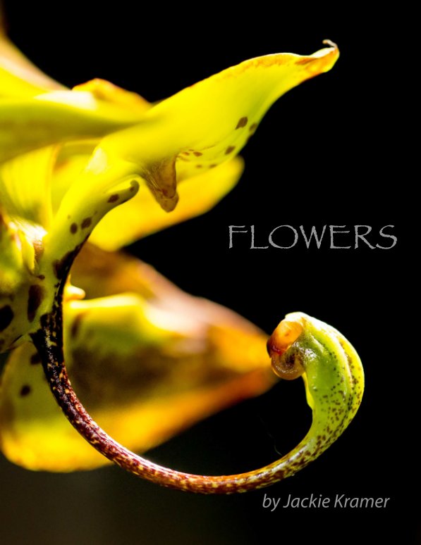 Visualizza Flowers di Jackie Kramer