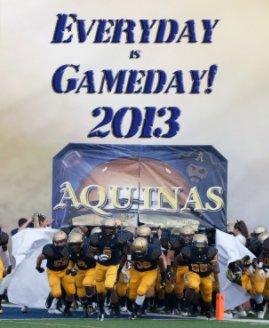 2013 Every Day is Gameday book cover