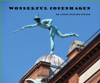 Wonderful Copenhagen book cover