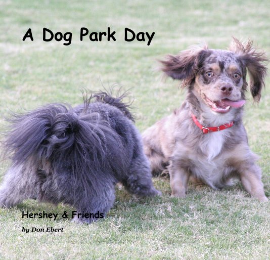 View A Dog Park Day by Don Ebert