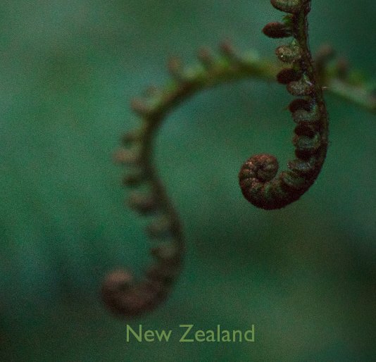 Visualizza New Zealand di Emily Miller