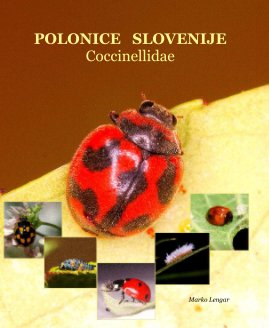 POLONICE SLOVENIJE Coccinellidae book cover