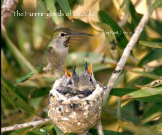 Hummingbirds of La Jolla ~Paperback Draft Edition book cover