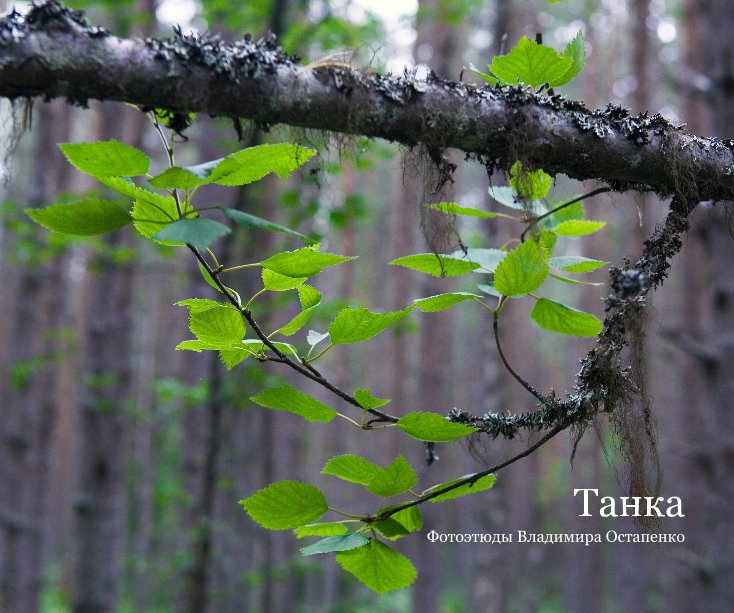 View Tanka. Photoalbum by Vladimir Ostapenko