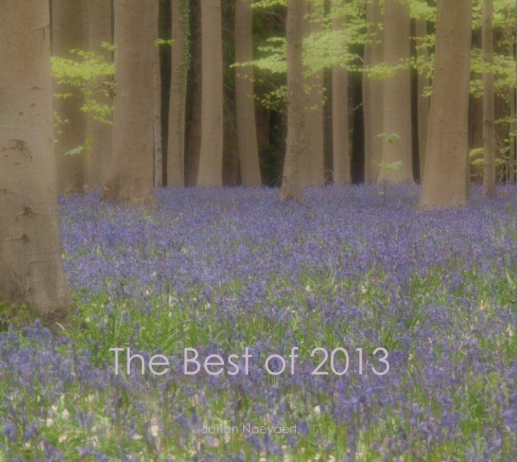 Ver The Best of 2013 por Johan Naeyaert
