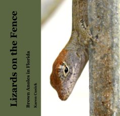 Lizards on the Fence book cover
