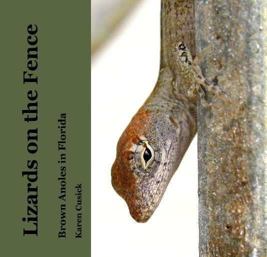 View Lizards on the Fence by Karen Cusick
