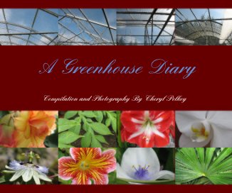 A Greenhouse Diary book cover