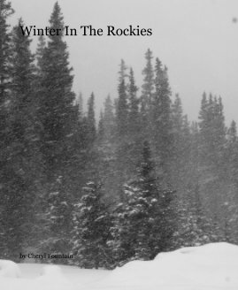 Winter In The Rockies book cover