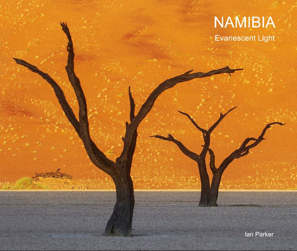 View NAMIBIA by Ian Parker