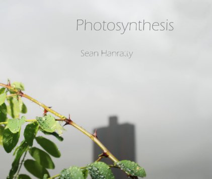 Photosynthesis book cover