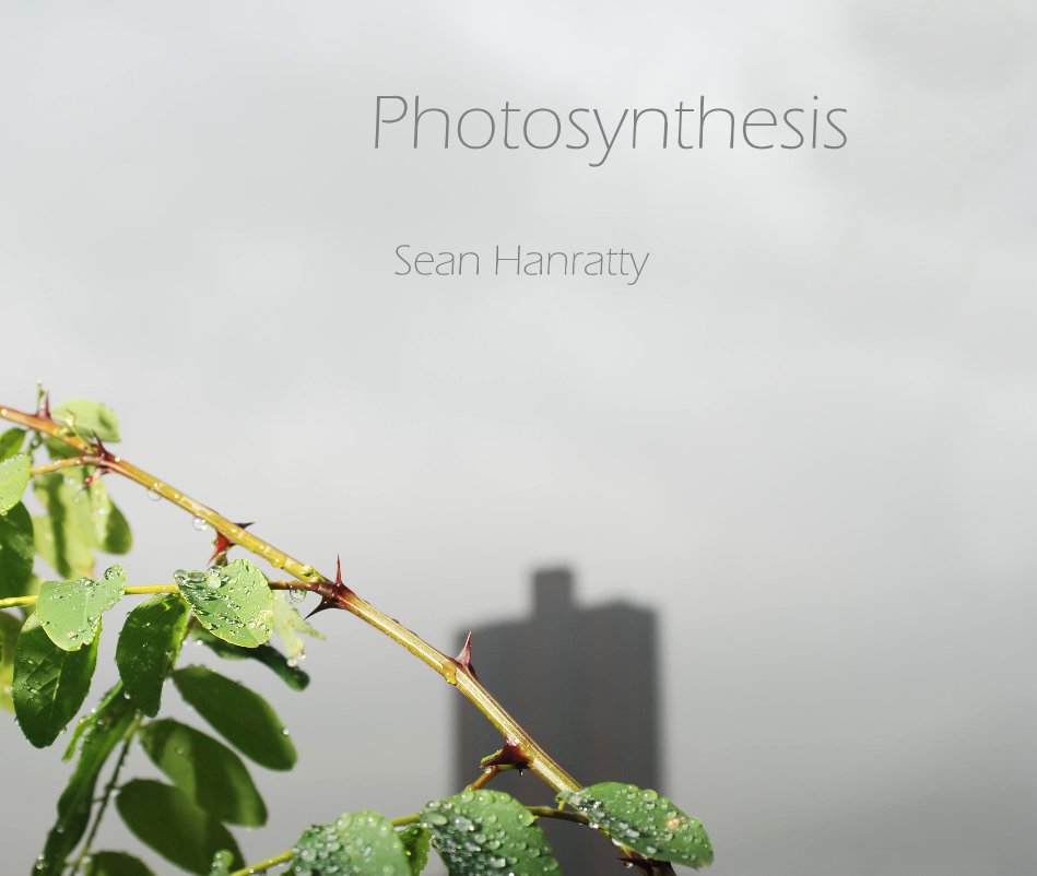 View Photosynthesis by Sean Hanratty