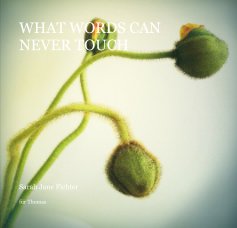 WHAT WORDS CAN NEVER TOUCH book cover