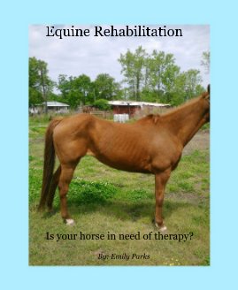 Equine Rehabilitation book cover