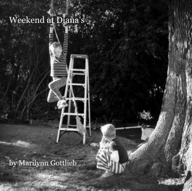 Weekend at Diana's by Marilynn Gottlieb book cover