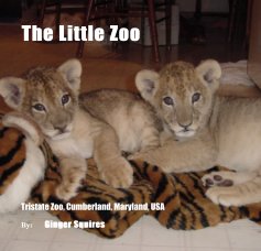 The Little Zoo book cover
