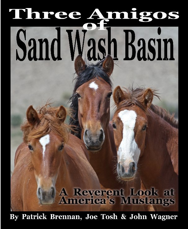 Ver Three Amigos of Sand Wash Basin por Patrick Brennan, Joe Tosh & John Wagner