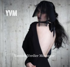 Yannick Verdier Monsegur book cover