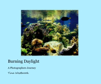 Burning Daylight book cover