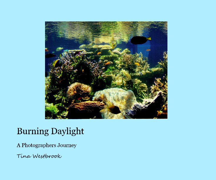 View Burning Daylight by Tina Westbrook