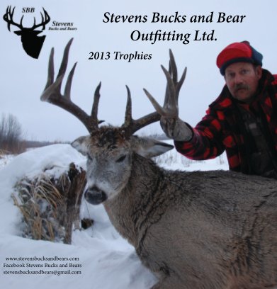 Stevens Bucks and Bears book cover