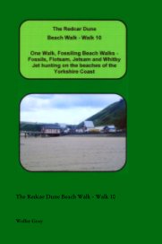 The Redcar Dune Beach Walk - Walk 10 book cover