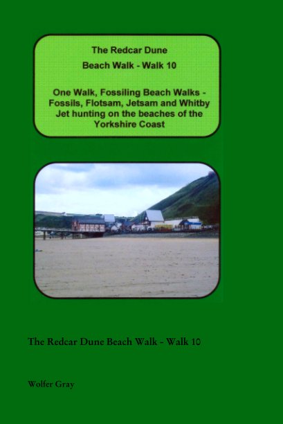 Bekijk The Redcar Dune Beach Walk - Walk 10 op Wolfer Gray