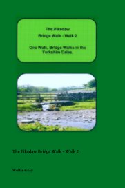 The Pikedaw Bridge Walk - Walk 2 book cover