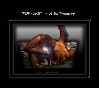 "POP-UPS"   A Gallimaufry book cover