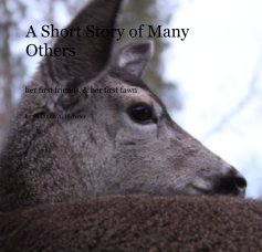 A Short Story of Many Others book cover