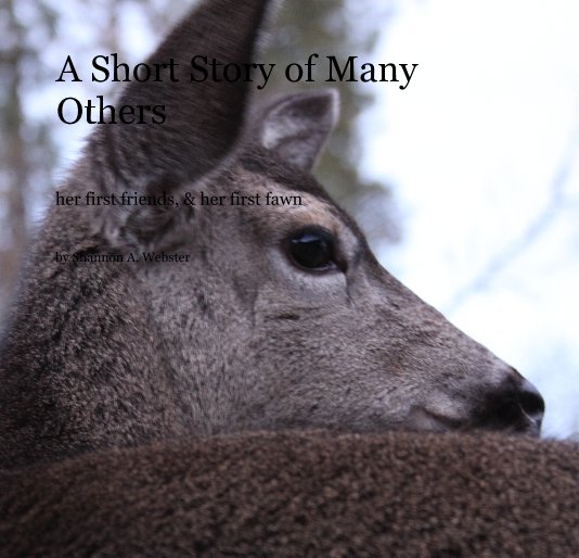 View A Short Story of Many Others by Shannon A. Webster