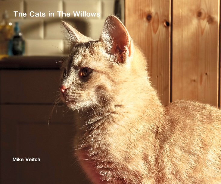 View The Cats in The Willows by Mike Veitch