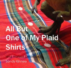 All But One of My Plaid Shirts book cover