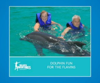 Dolphin Fun For the Flavins book cover