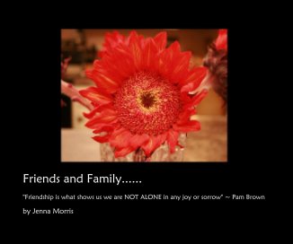 Friends and Family...... book cover