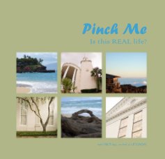 Pinch Me book cover