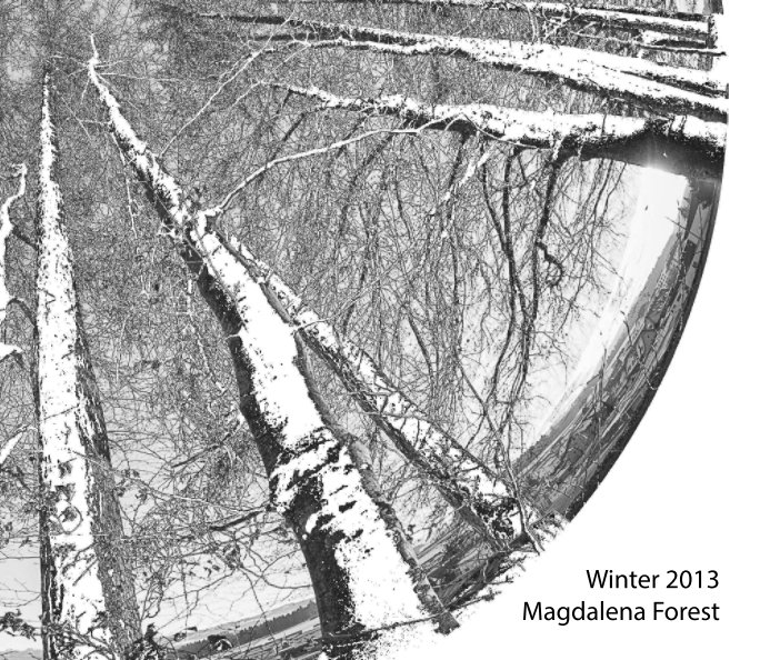 View Magdalena Forest by Jonny Kopp
