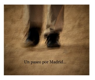 Un paseo por Madrid (copia) book cover