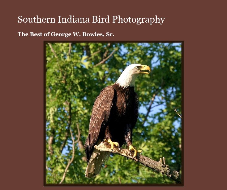 Ver Southern Indiana Bird Photography por Mary Alice Bowles
