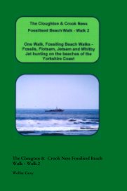 The Clougton & Crook Ness Fossilised Beach Walk - Walk 2 book cover