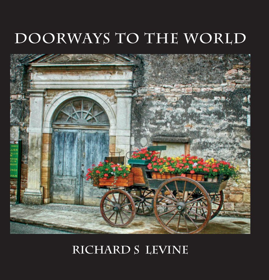 View Doorways To The World by Richard S Levine MD