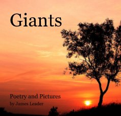 Giants book cover