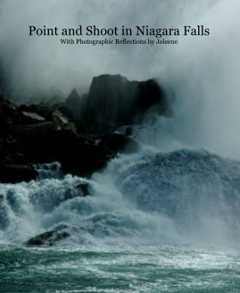 Point and Shoot in Niagara Falls With Photographic Reflections by Joleene book cover