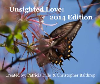 Unsighted Love book cover