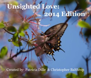 Unsighted Love book cover