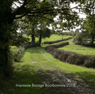 Impressie Bocage Bourbonnais 2013 book cover