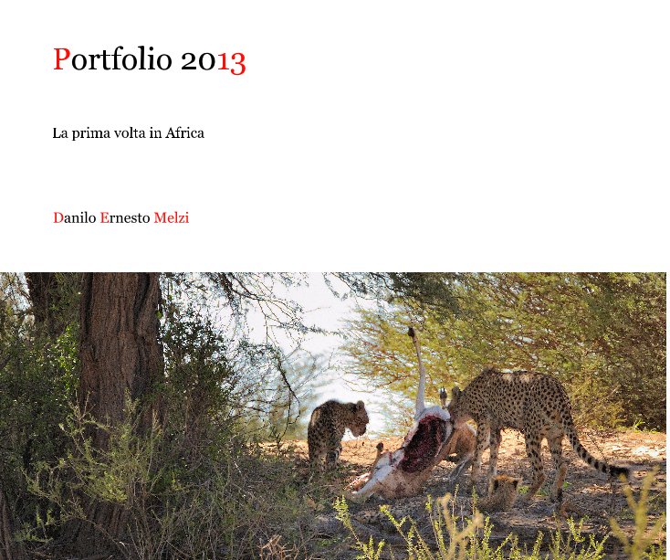 Portfolio 2013 nach Danilo Ernesto Melzi anzeigen