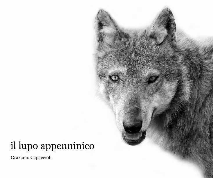 View il lupo appenninico by Graziano Capaccioli