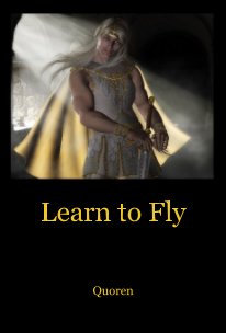 Learn to Fly book cover