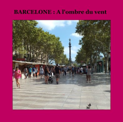 BARCELONE : A l'ombre du vent book cover